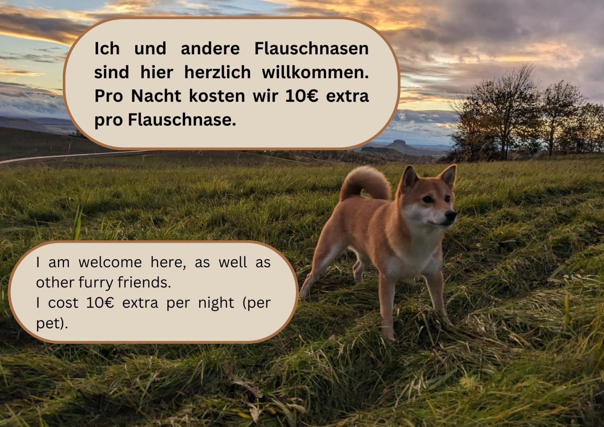 S3 - Urlaubsmagie - Fuer 4P Mitten Im Elbsandsteingebirge Sebnitz Zewnętrze zdjęcie